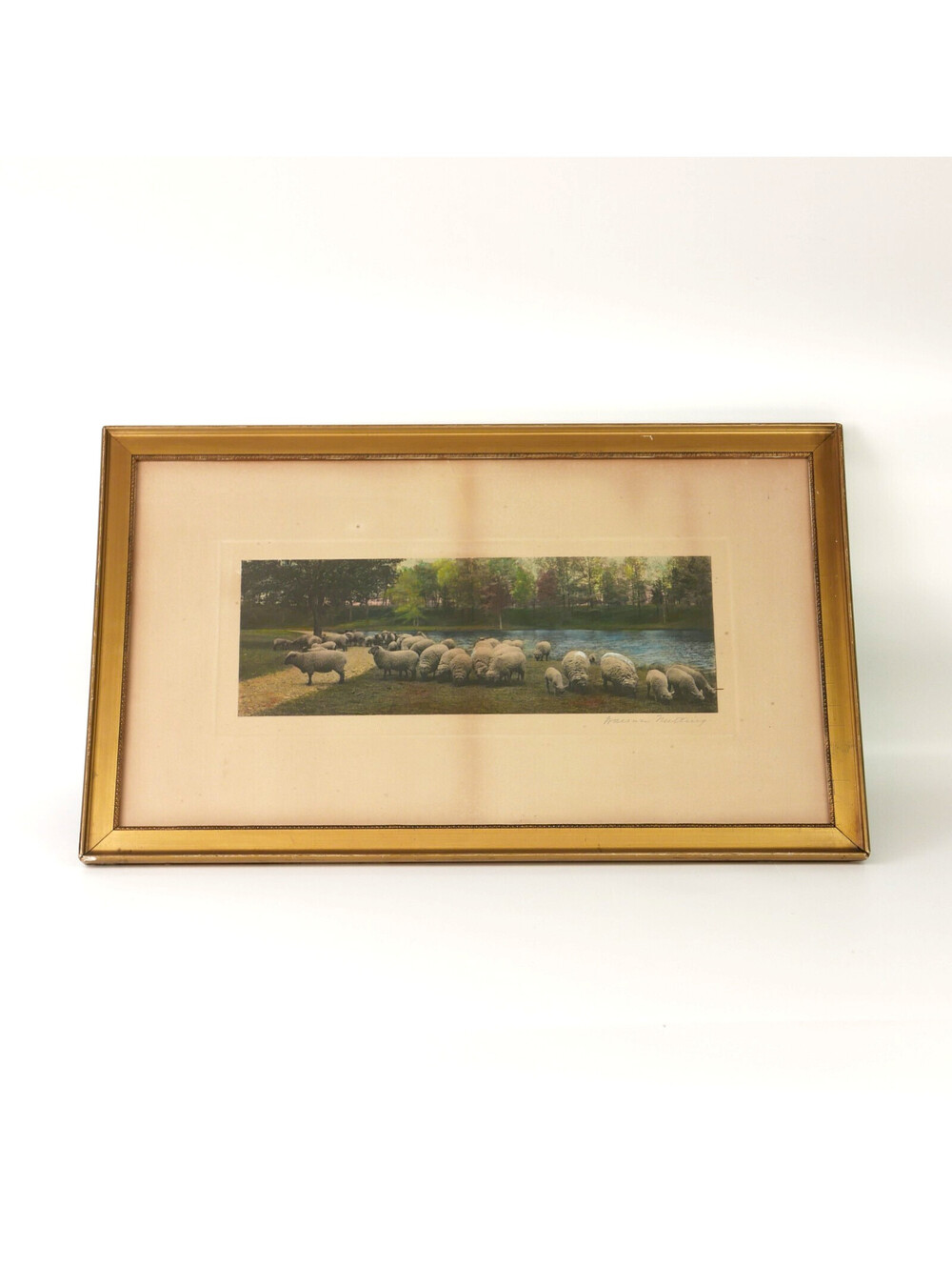 Wallace Nutting Hand Colored Photograph Print Sheep A Warm Spring Day Framed